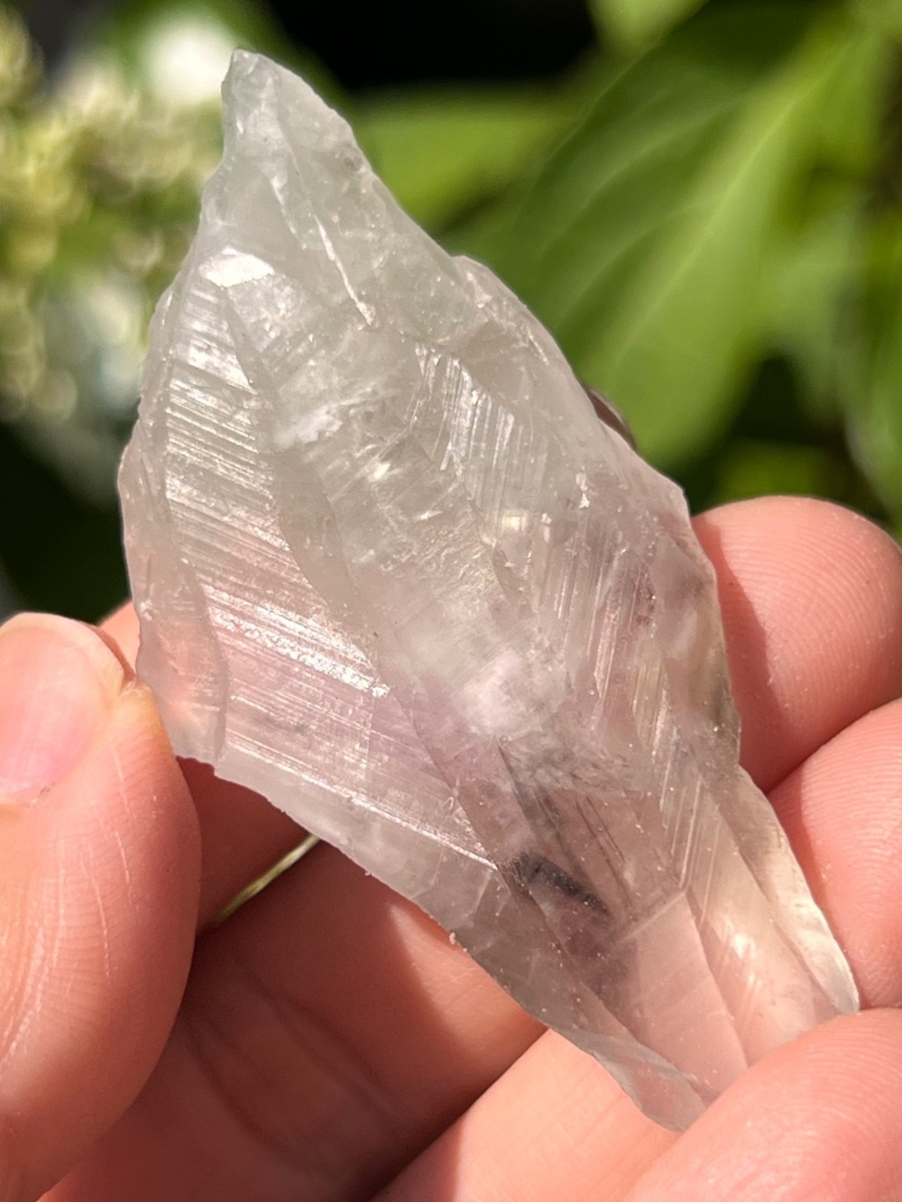 Green (1) quartz point | crystal